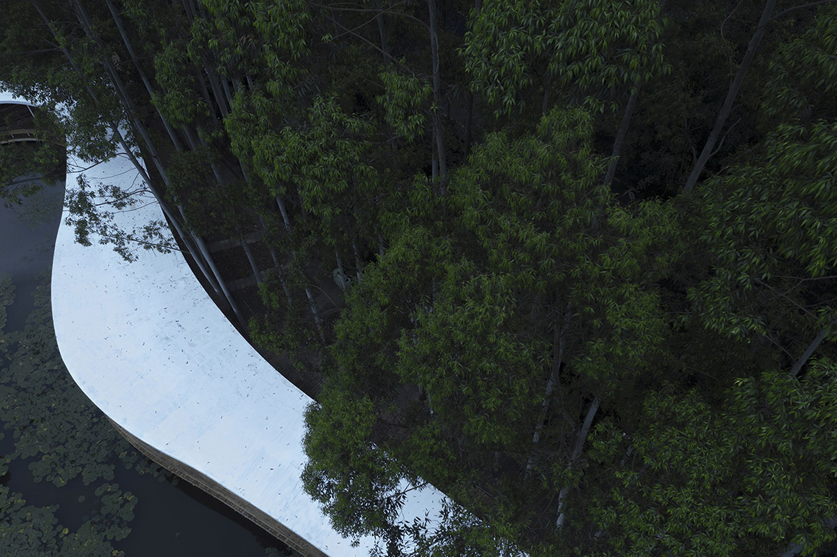 MUDA-Architects' snake-like restaurant blends with slender pillars and trees in a eucalyptus forest