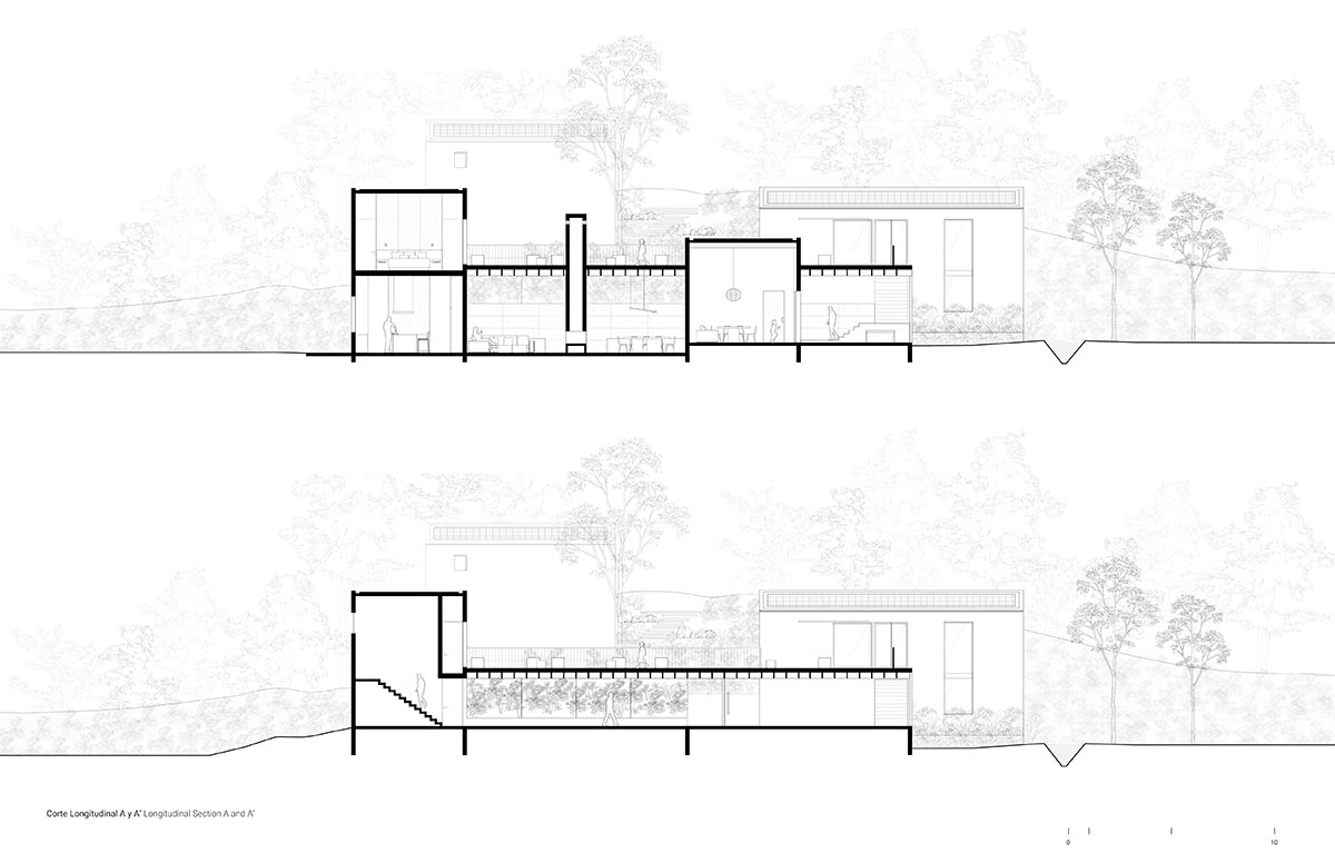 ESTUDIO Ignacio Urquiza Ana Paula de Alba completes residence in Mexican forested landscape