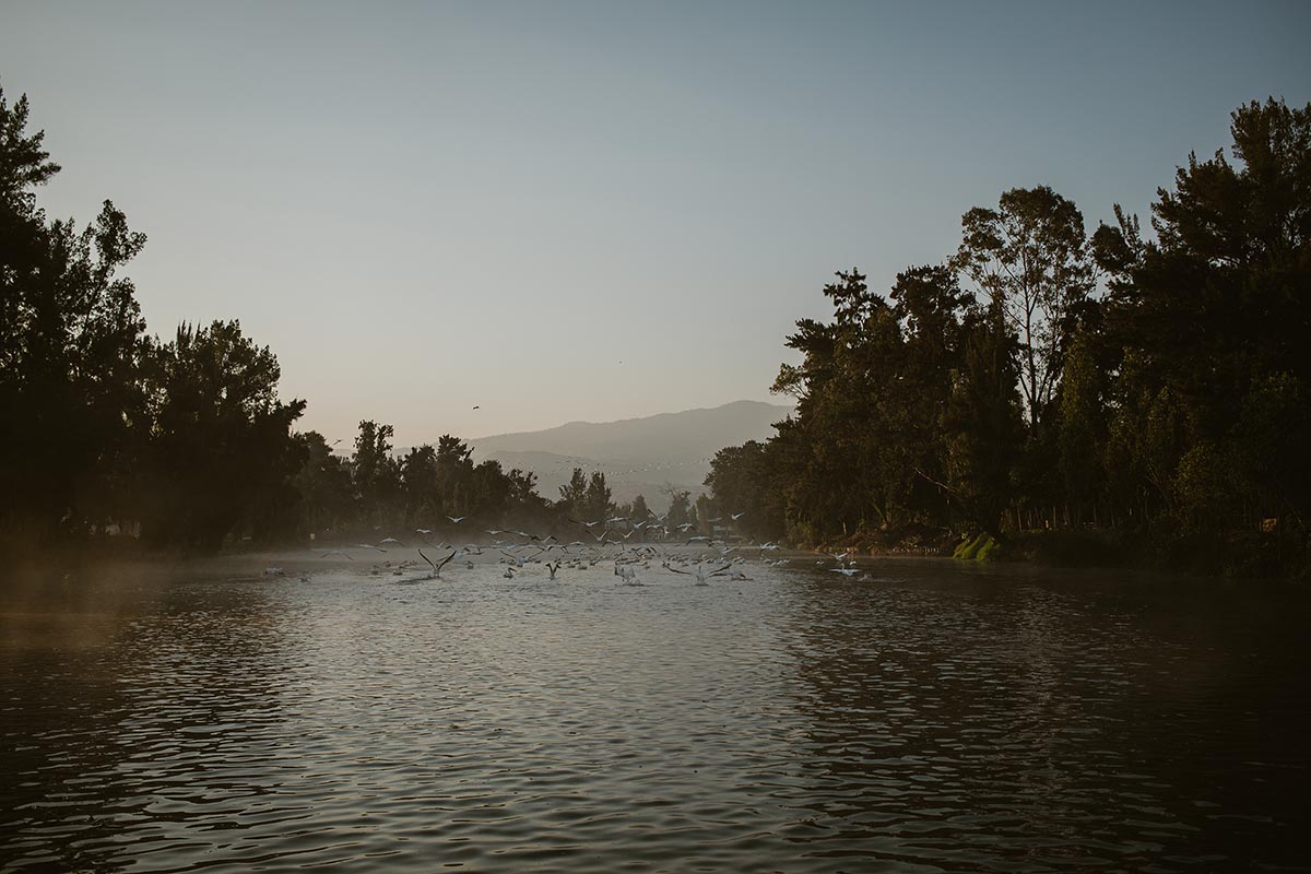Mexico Pavilion will focus on Regenerative Architecture at the 2025 Venice Architecture Biennale