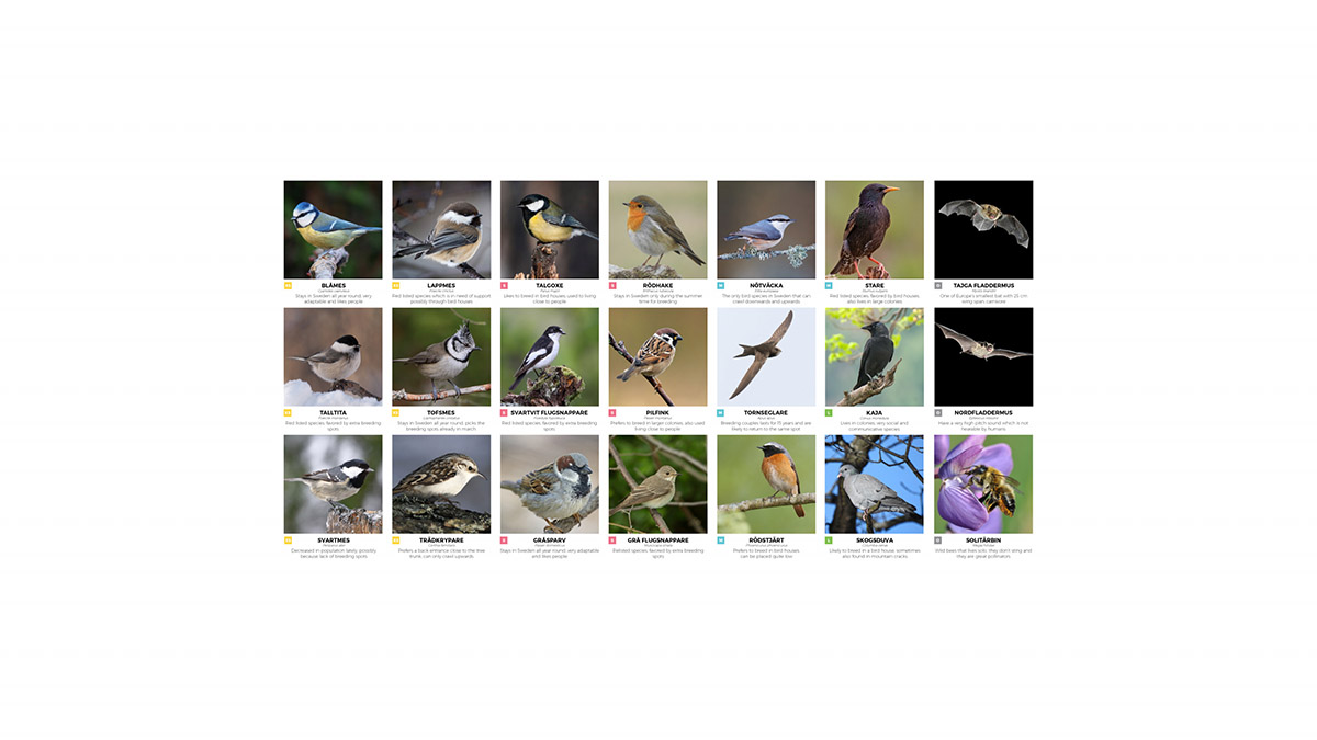 BIG encloses hotel room with 350 birdhouses in Sweden 