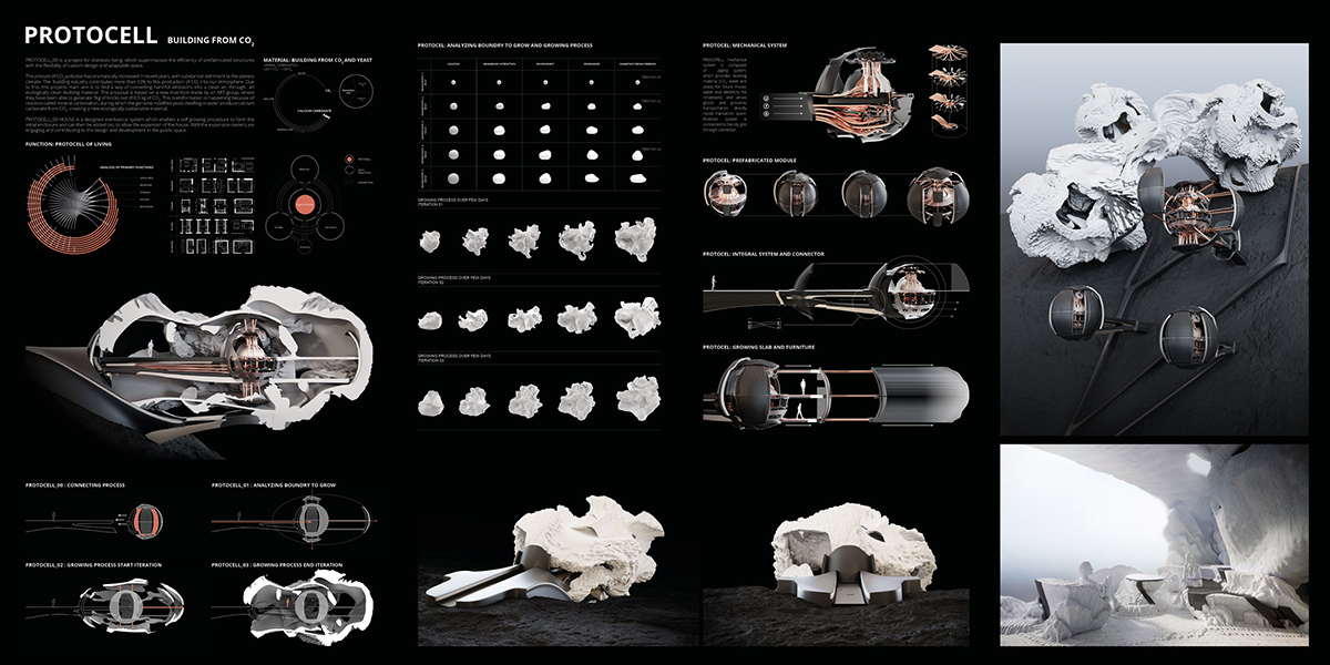 The Laka Foundation announces winners for Laka Competition 2020