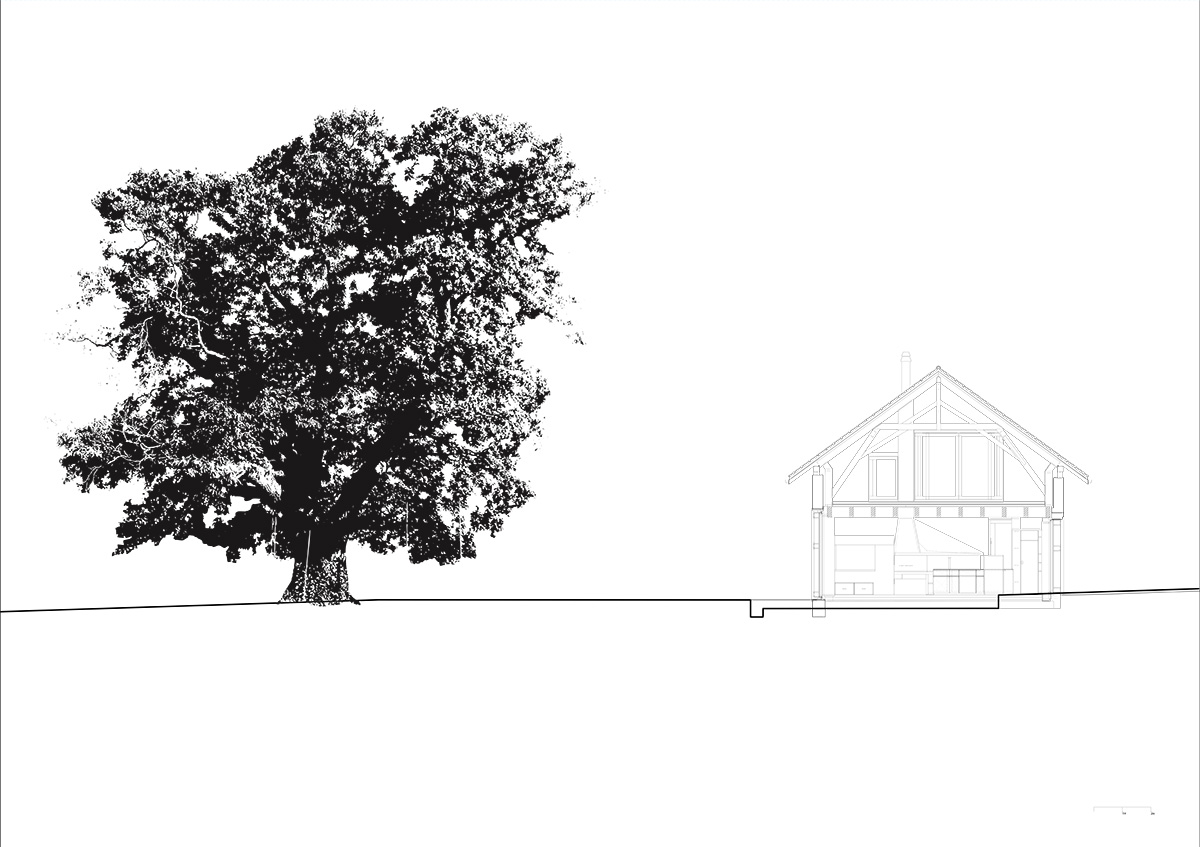 Dieter Dietz completes birdhouse-looking living space nestled in the Swiss rural landscape