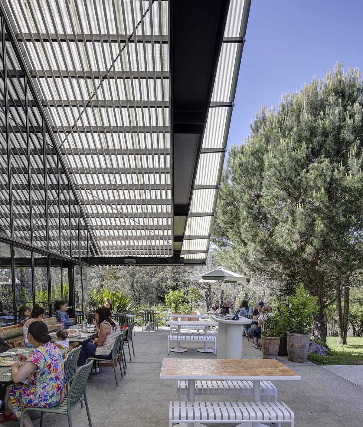 Sam Crawford Architects designed Parramatta Park Pavilion in respect to Heritage-listed landscape