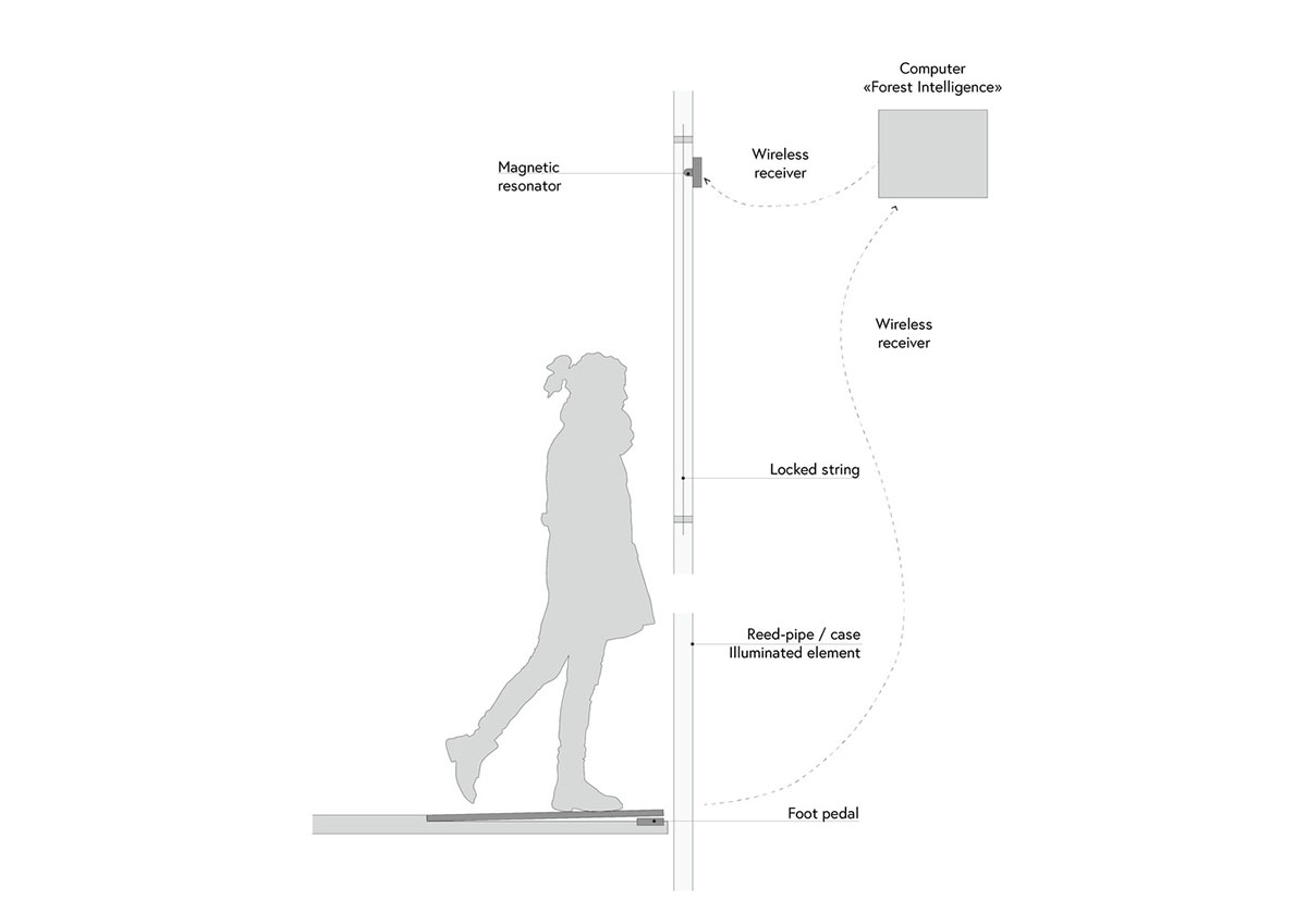 Malitis Architects creates 