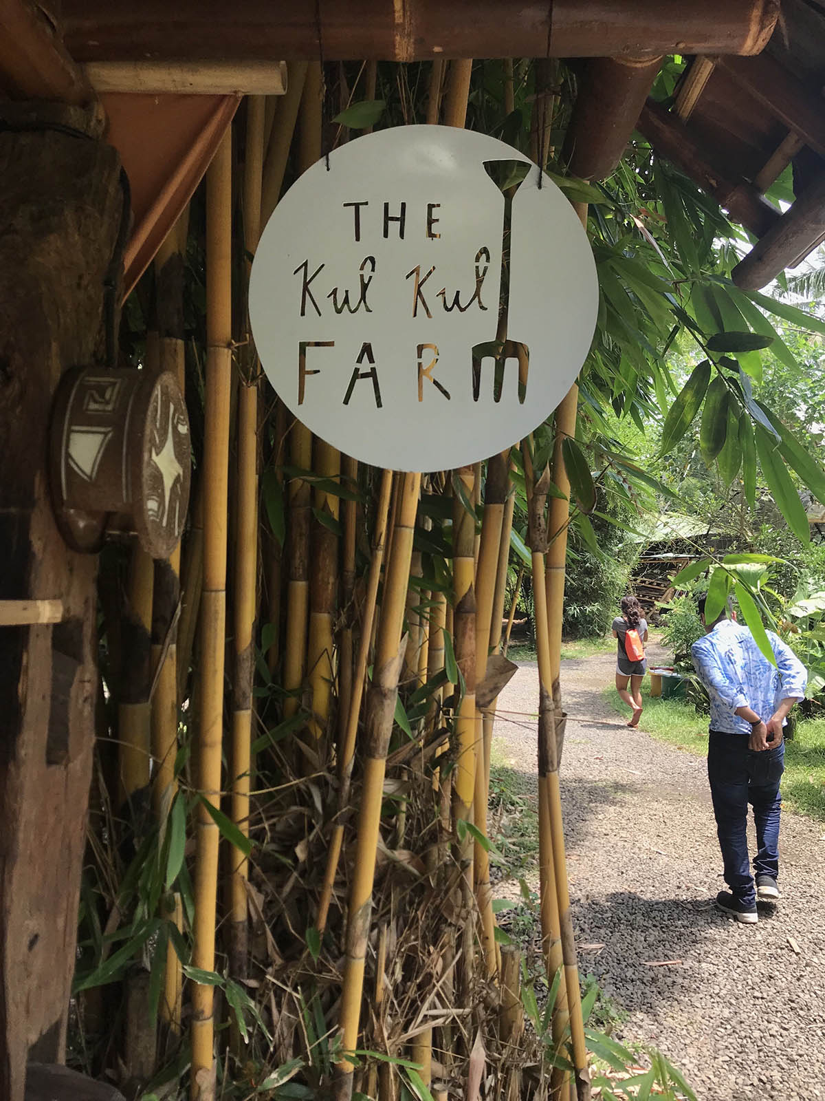 Bamboo: The Future of Sustainable Lifestyle