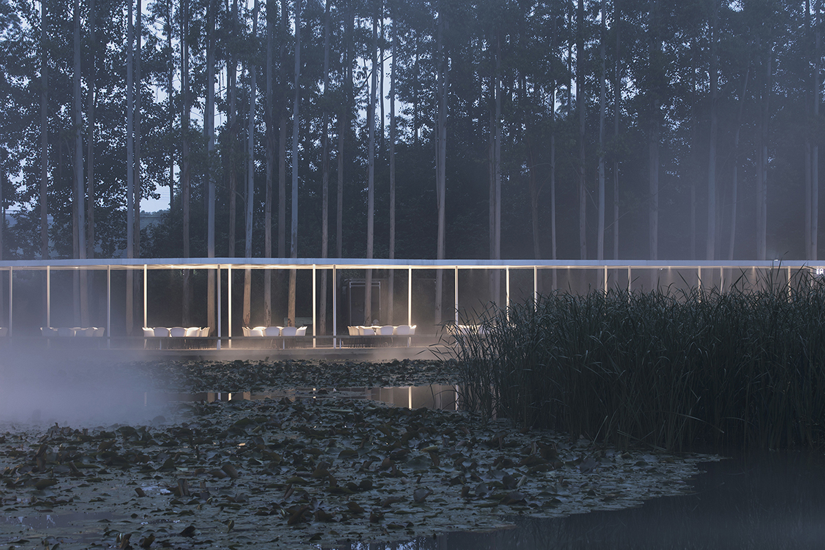 MUDA-Architects' snake-like restaurant blends with slender pillars and trees in a eucalyptus forest