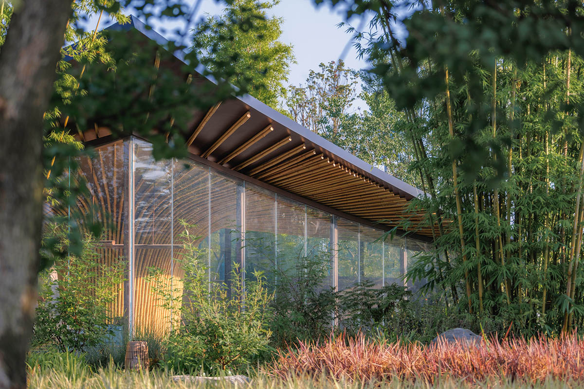 Archermit imagines an exhibition building as a huge bamboo tree at the center