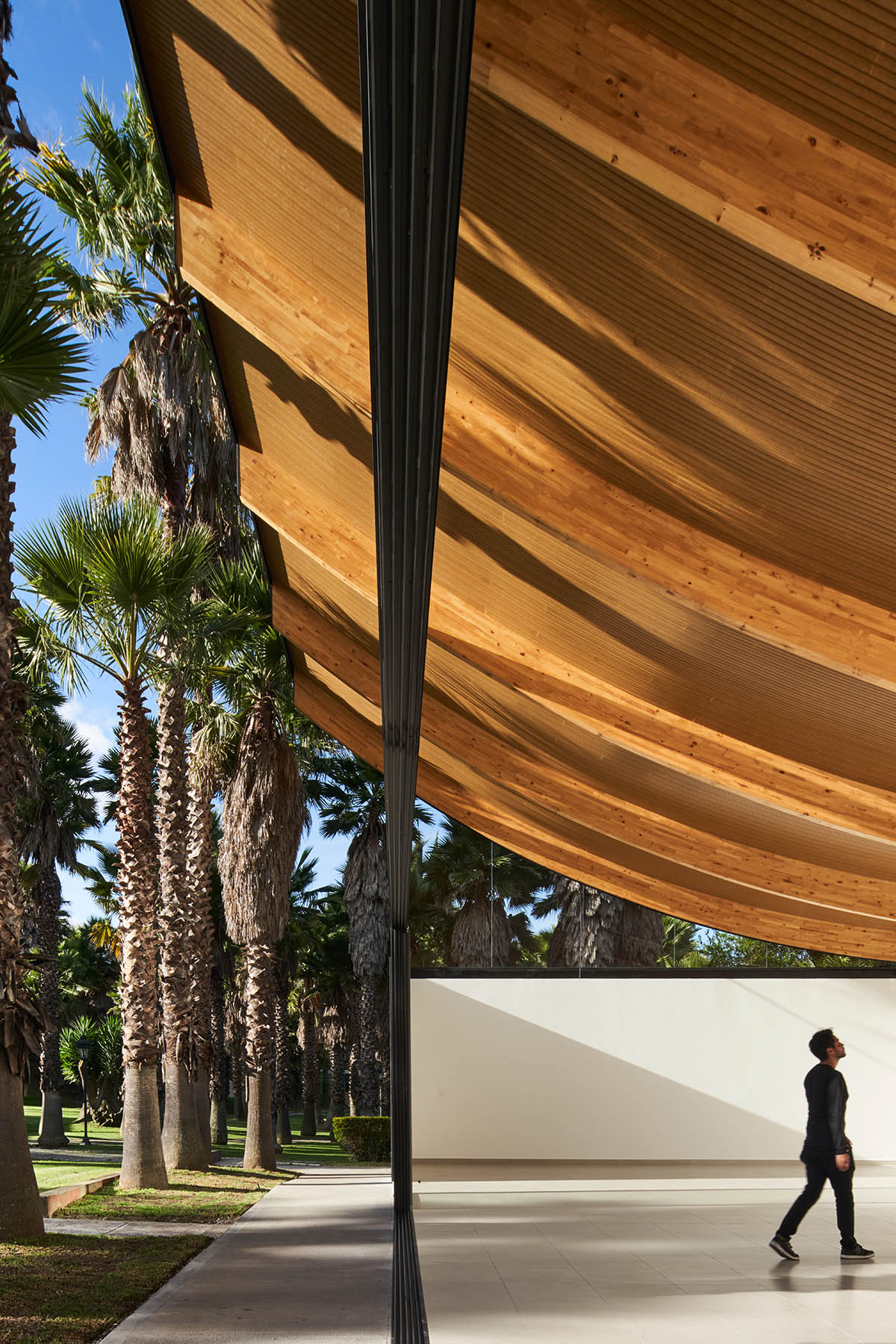 TEC Taller EC creates pavilion with concave wooden roof that becomes a façade in Ecuador