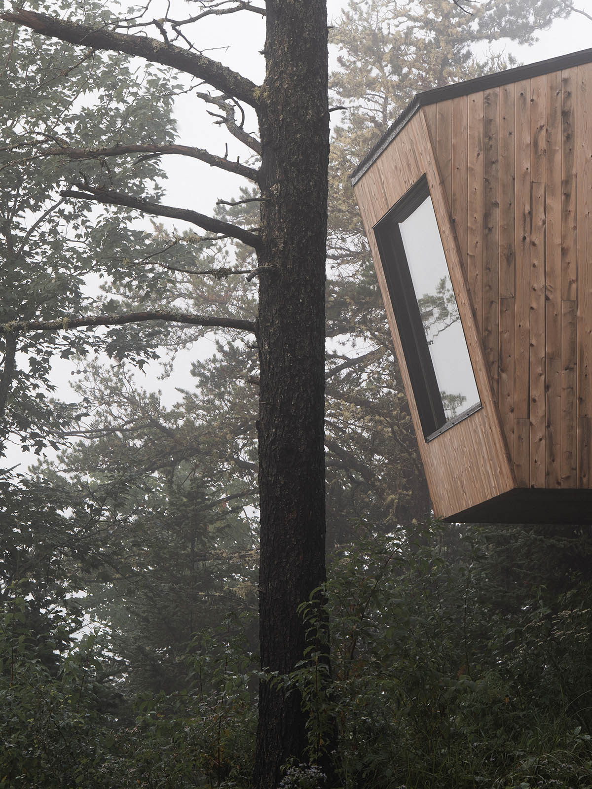 Atelier L’Abri built a set of wooden cabins for campers and hikers in ...