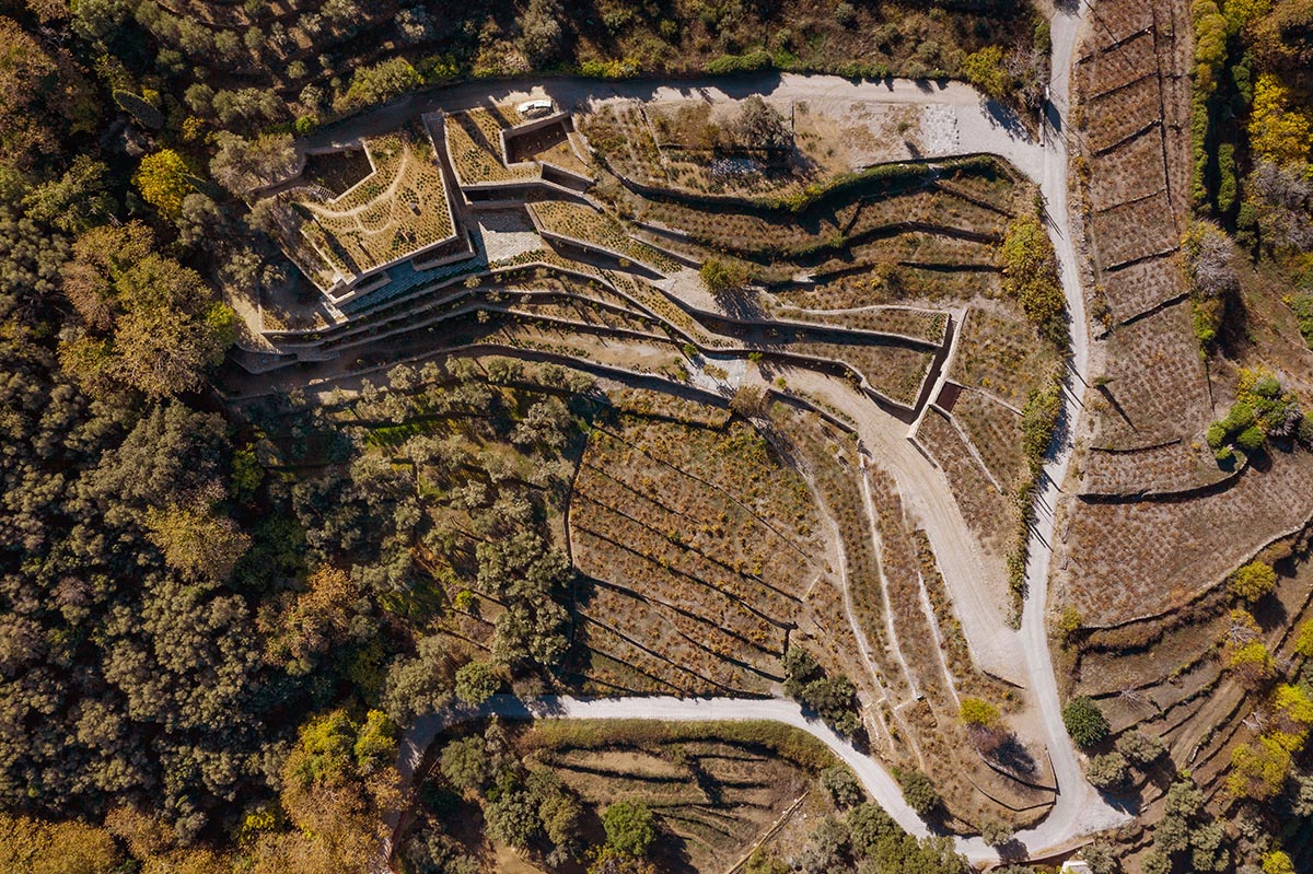 Terraced stonewalls sprawl down to offer an exploratory route in an old vineyard in Samos