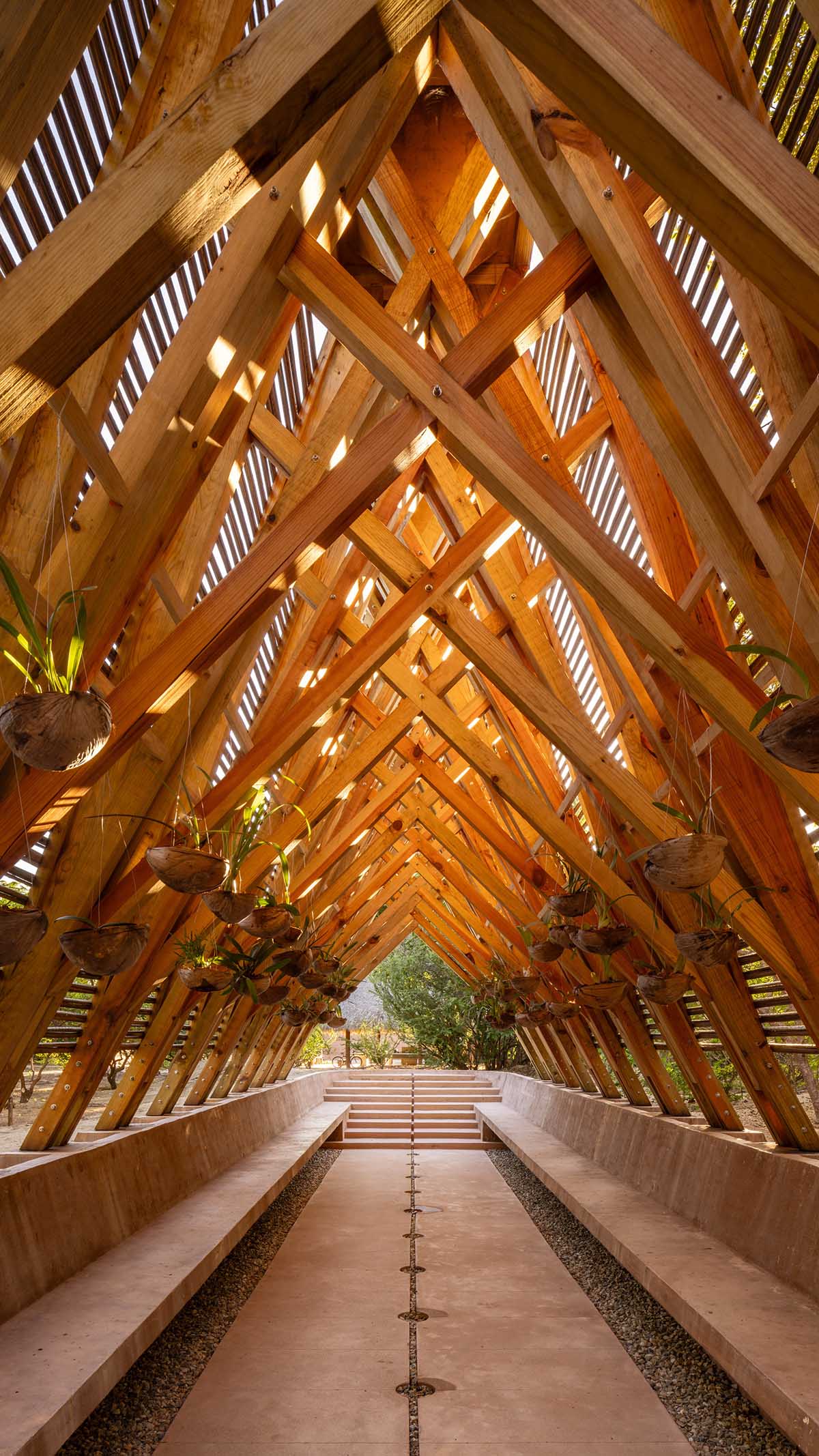 Centro de Colaboración Arquitectónica completes wooden Orchid Pavilion for Casa Wabi in Mexico