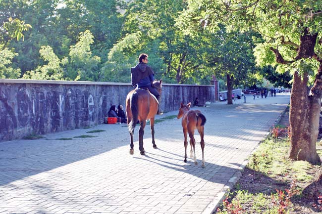 An Inverse Experience: Destruction, Construction, Preservation of Tangible and Intangible Heritage