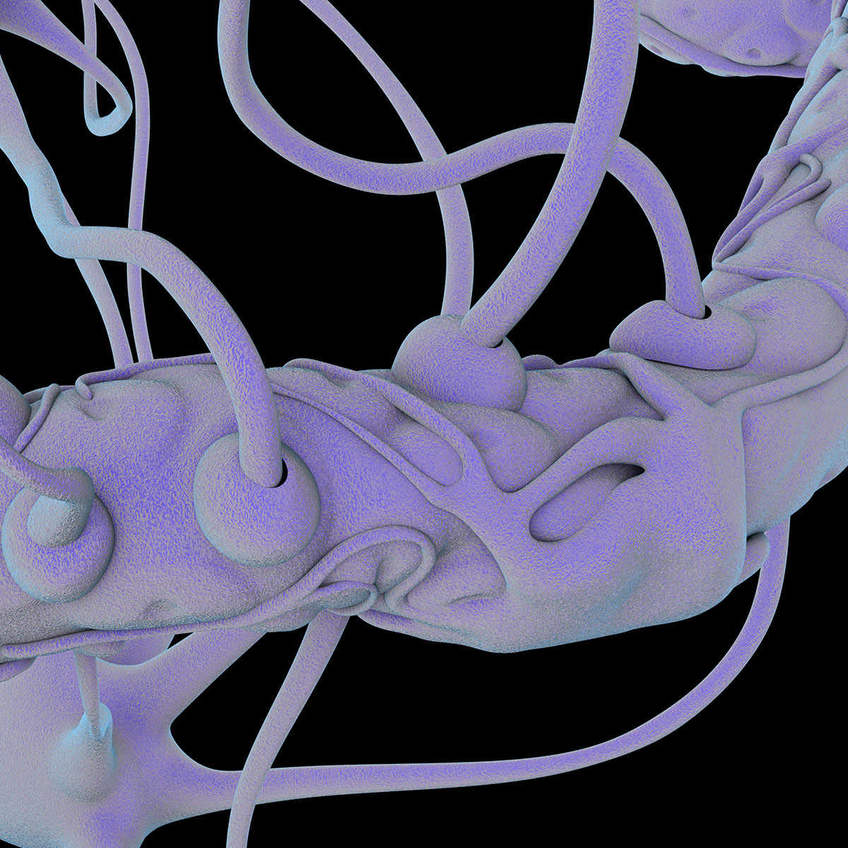 First images and details released for Istanbul Design Biennial 2018