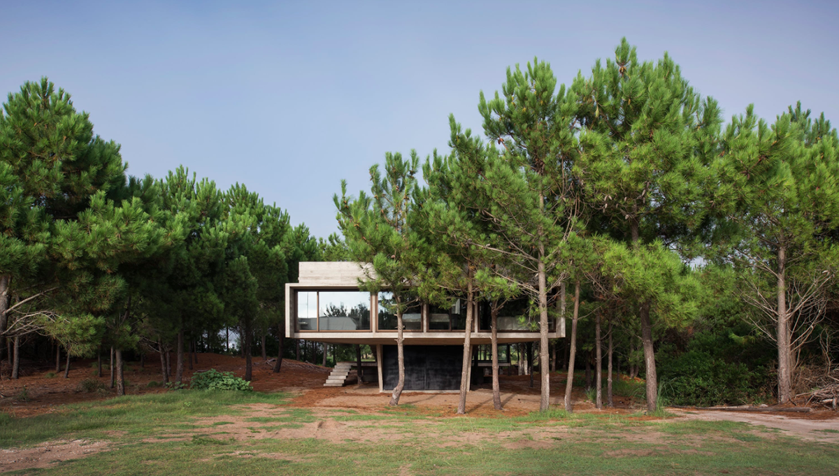 Partially open S+J family house by Luciano Kruk placed in the pine forest of Costa Esmeralda