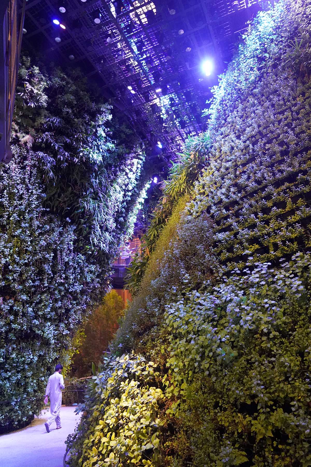 A city in nature: Singapore Pavilion presents Nature. Nurture. Future at Expo 2020 Dubai