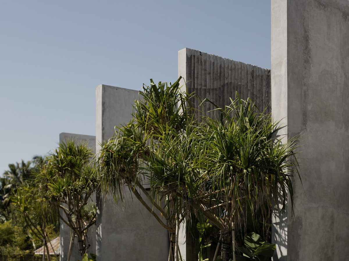 Linear concrete walls hide hotel rooms overlooking lush forest on the northern coast of Bali