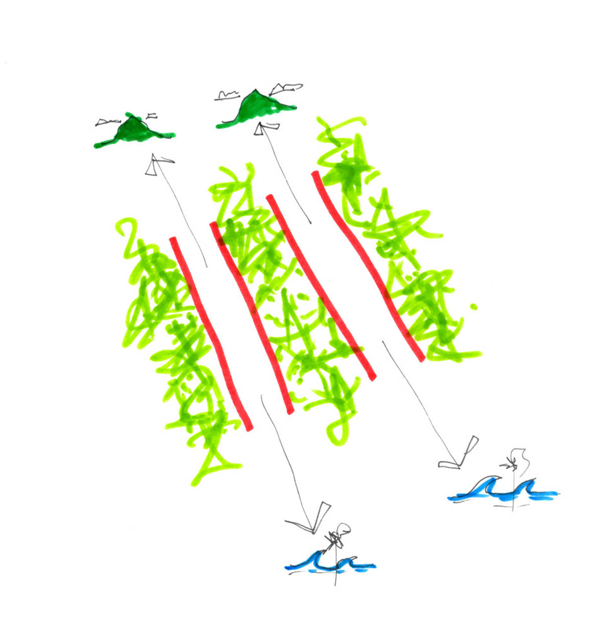 Linear concrete walls hide hotel rooms overlooking lush forest on the northern coast of Bali