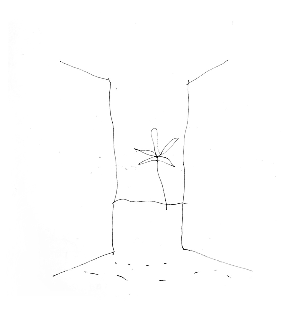 Linear concrete walls hide hotel rooms overlooking lush forest on the northern coast of Bali