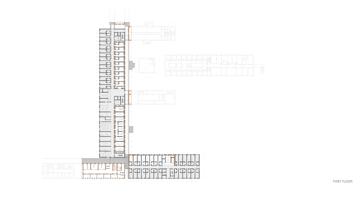 Vaillo+Irigaray Architects' pavilion-like Psychiatric Center is dissolved within historic buildings