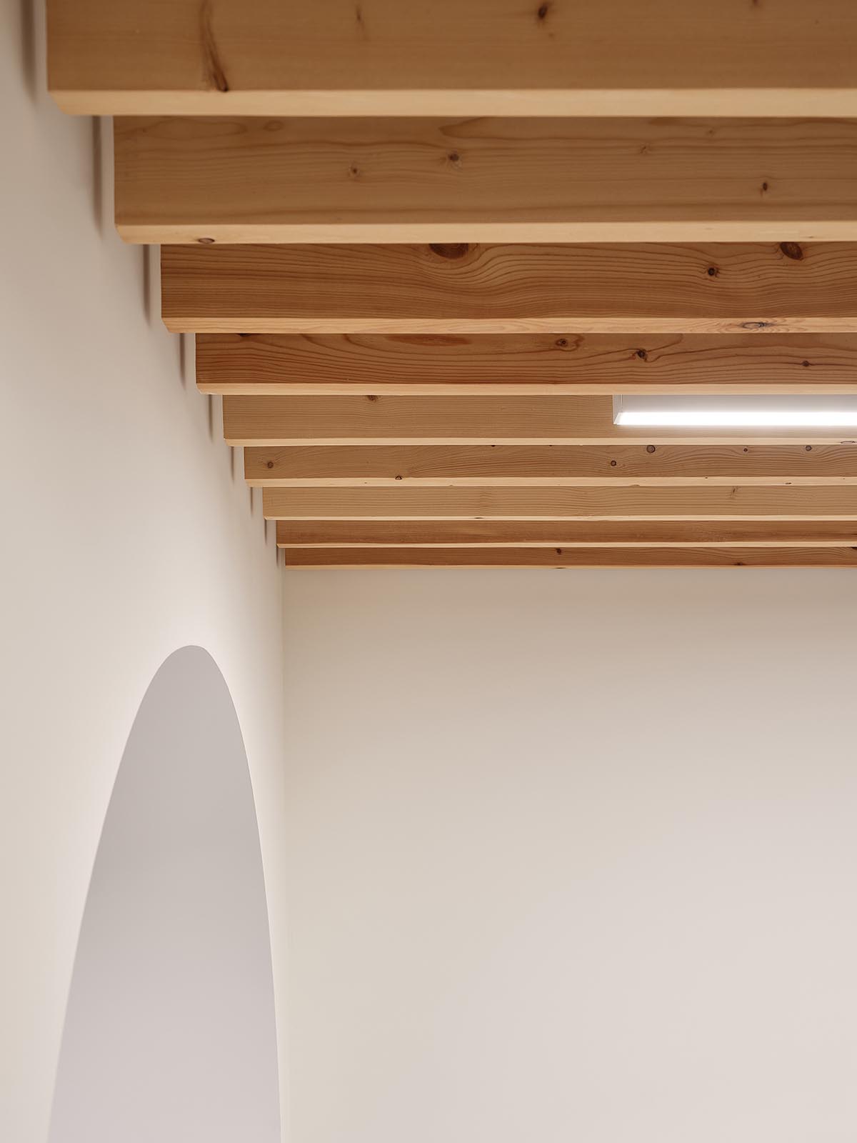 Medical clinic designed by Fonseka Studio creates a light, warm, and uplifting atmosphere in Ontario