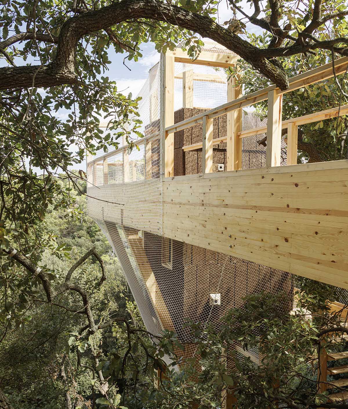IAAC students built mass timber observatory based on 