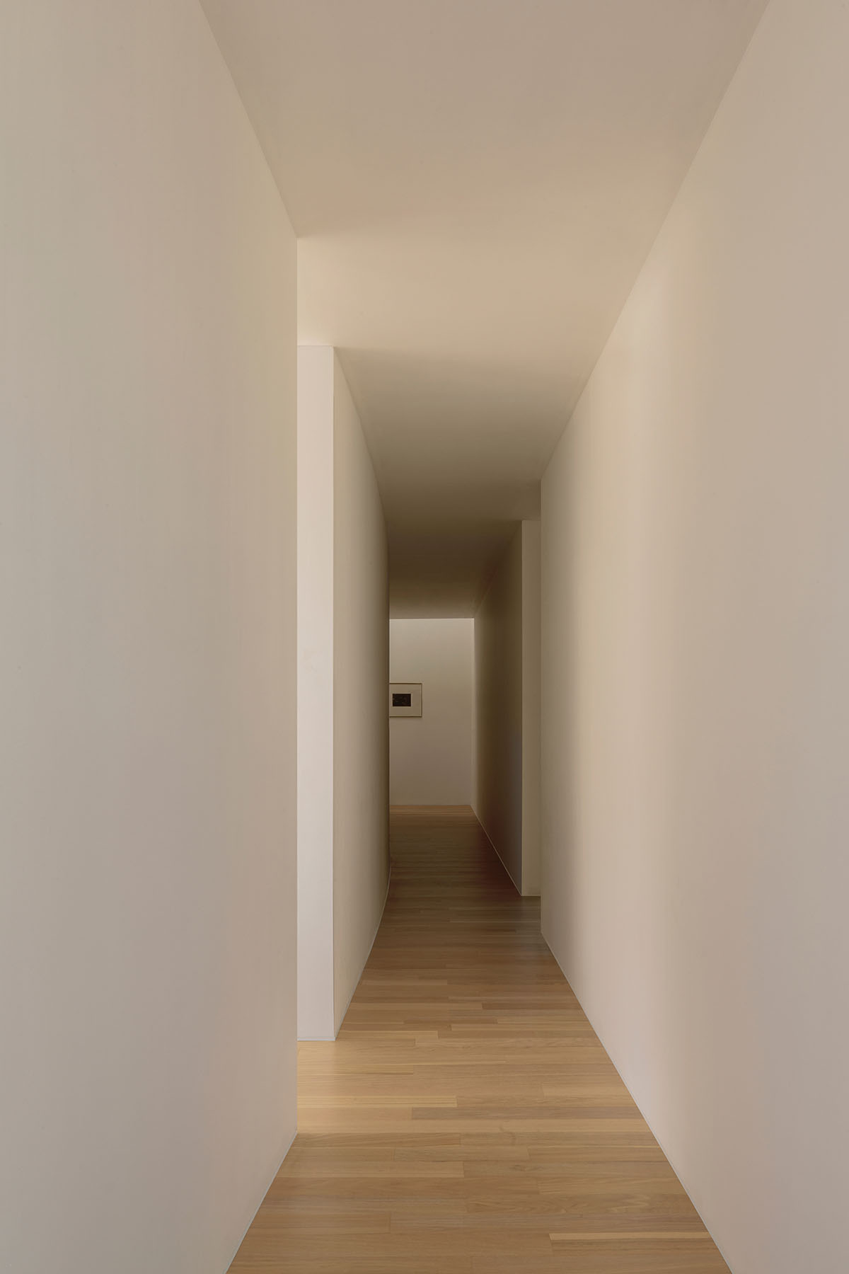 Horizontal Shi House by HW Studio acts like smooth transition on the Mexican ravine 