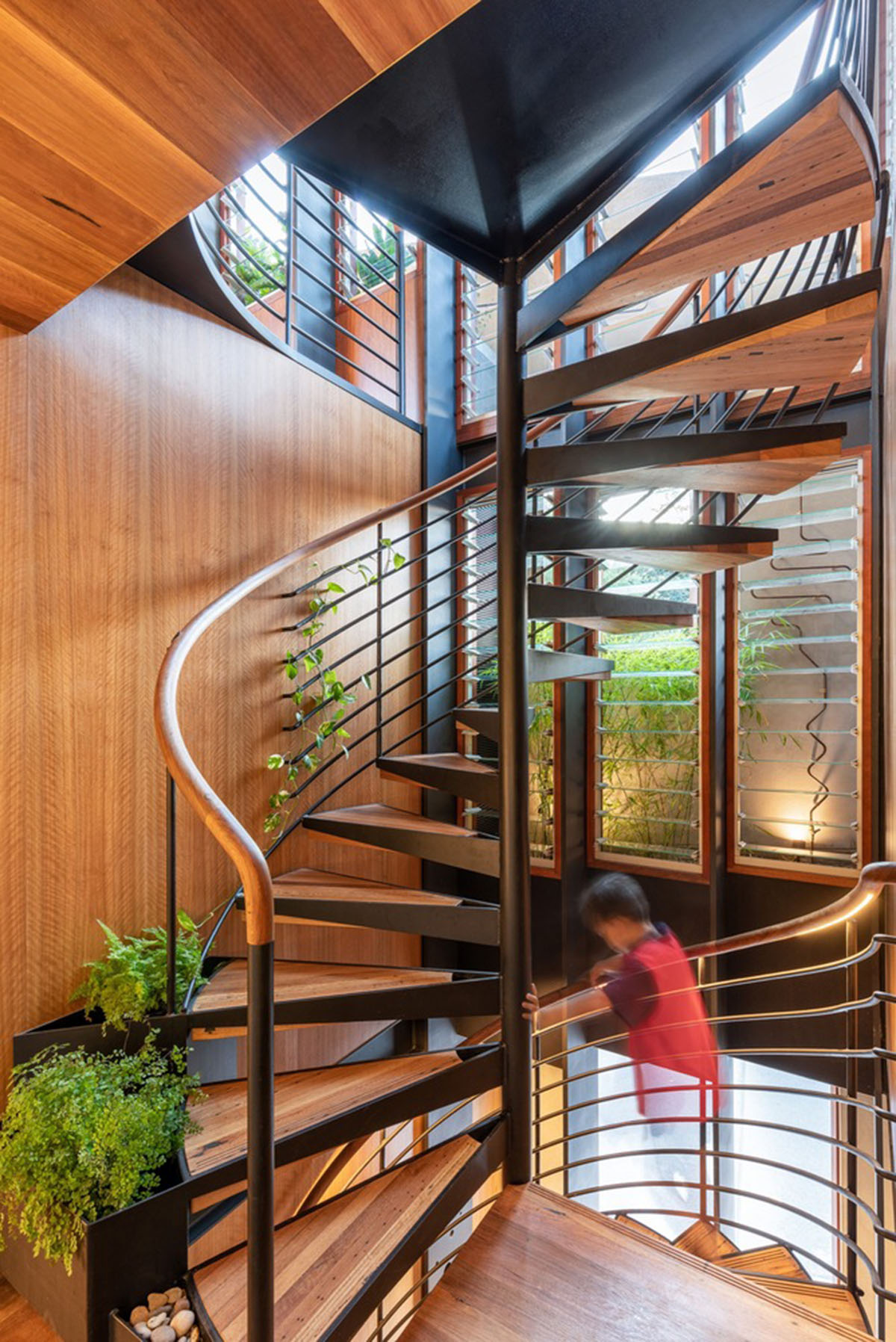 CplusC Architectural Workshop rejuvenates old shop house with blow up green infills in Australia