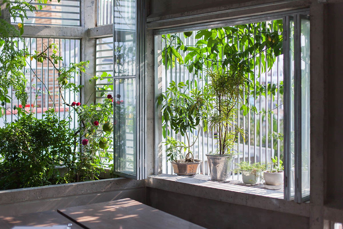 K59 Atelier completes its own atelier and house in cubic volumes filled with green in Vietnam