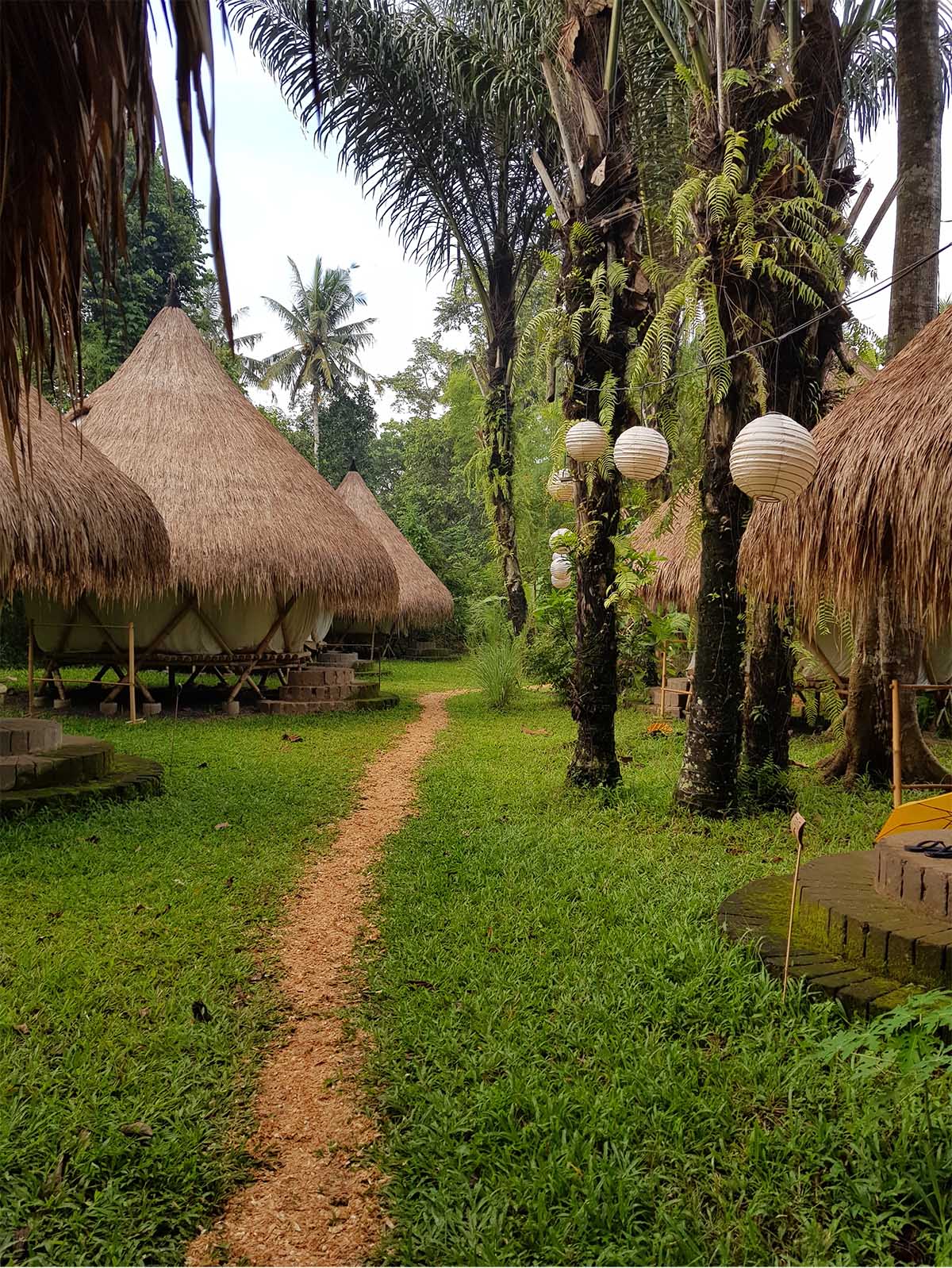 Bamboo: The Future of Sustainable Lifestyle