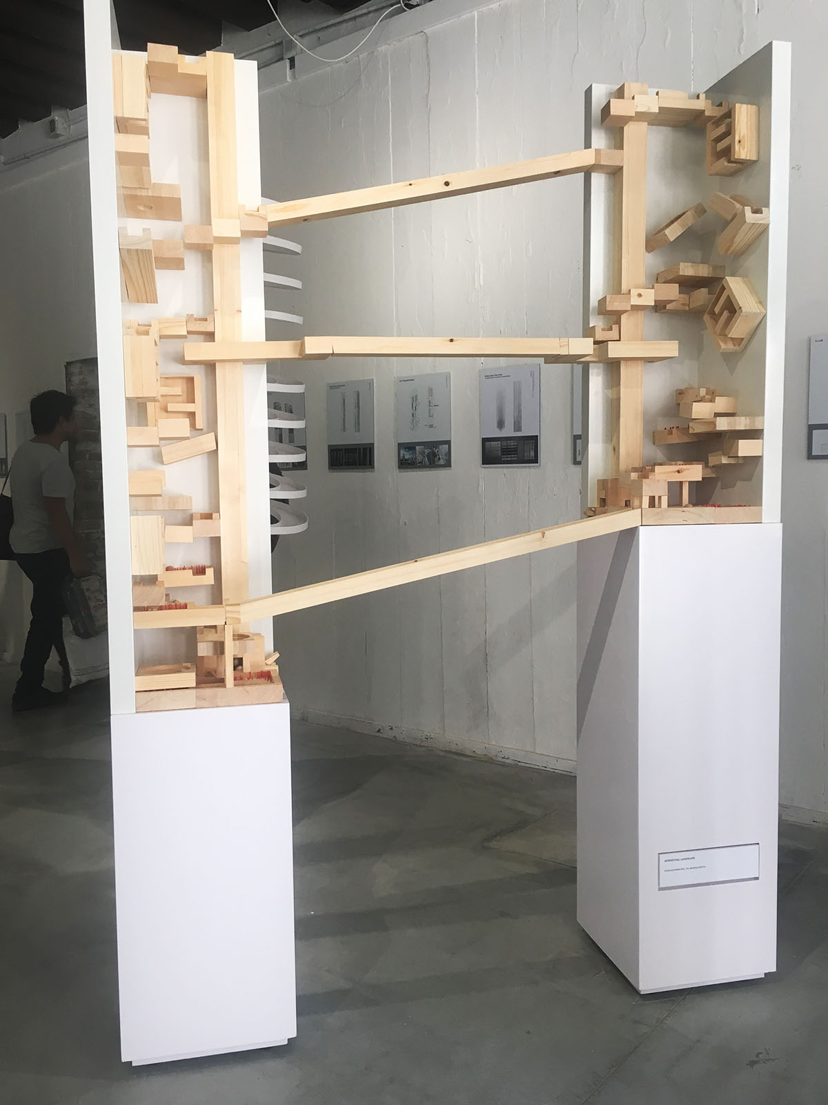 Hong Kong Pavilion demonstrates Hong Kong's urban density with 100 Towers at Venice Biennale