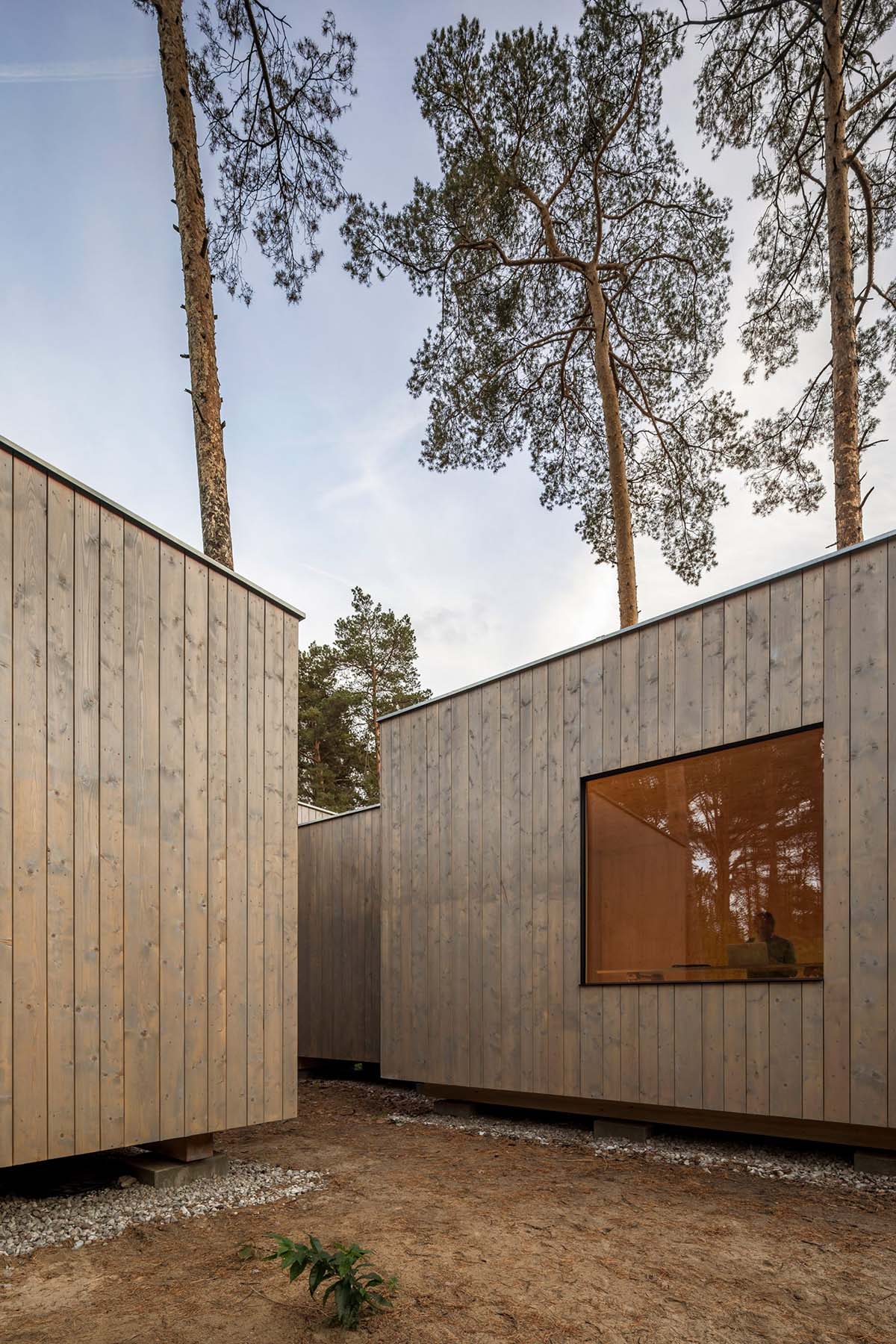 Zeller & Moye built private residence composed of interlocked timber cabins among pine trees
