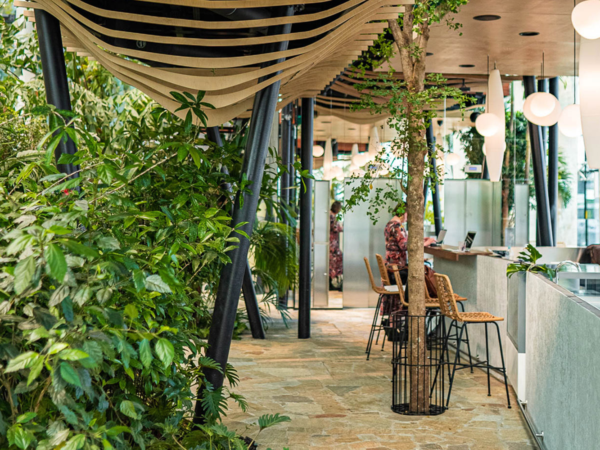 Worksplace nestled in an exotic garden is filled with various plants from many countries in Poland 