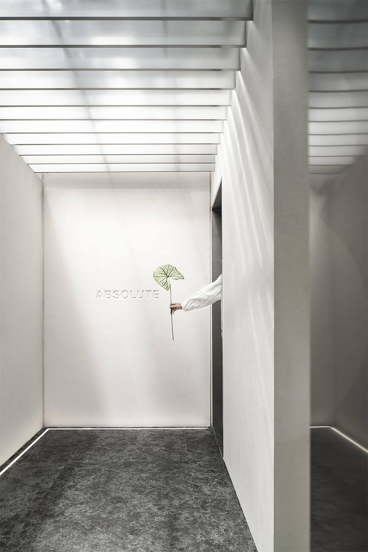 More Design Office's Absolute Flower Shop features cellular spaces with flower arrangements