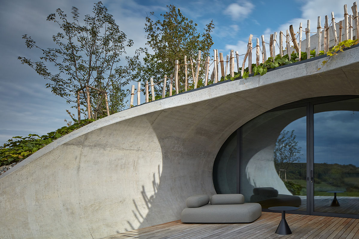 Curved green roof hides winery by Aleš Fiala in a rolling landscape in the Czech Republic