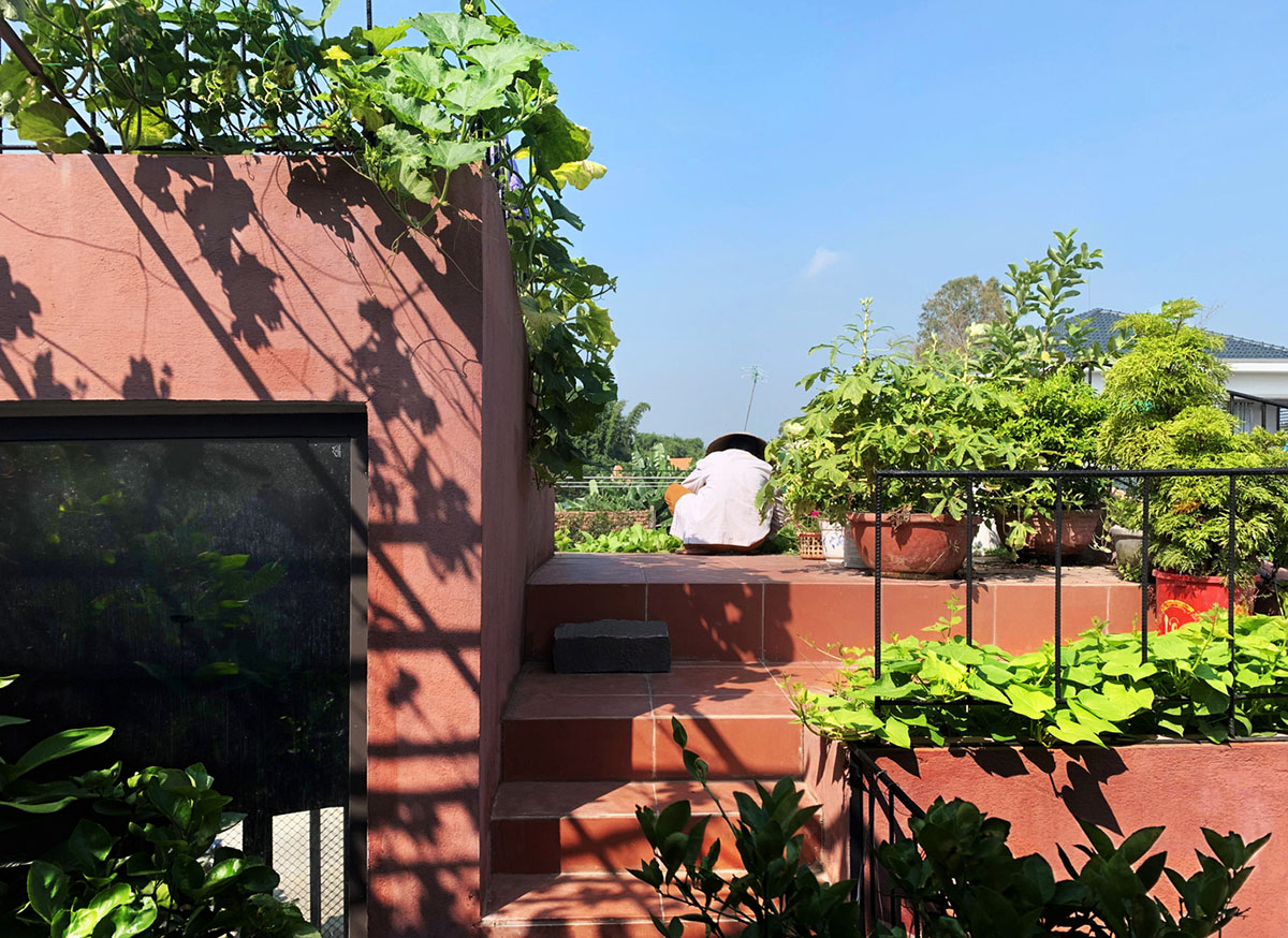 This reddish house features rooftop garden to make owners grow their own food in Vietnam