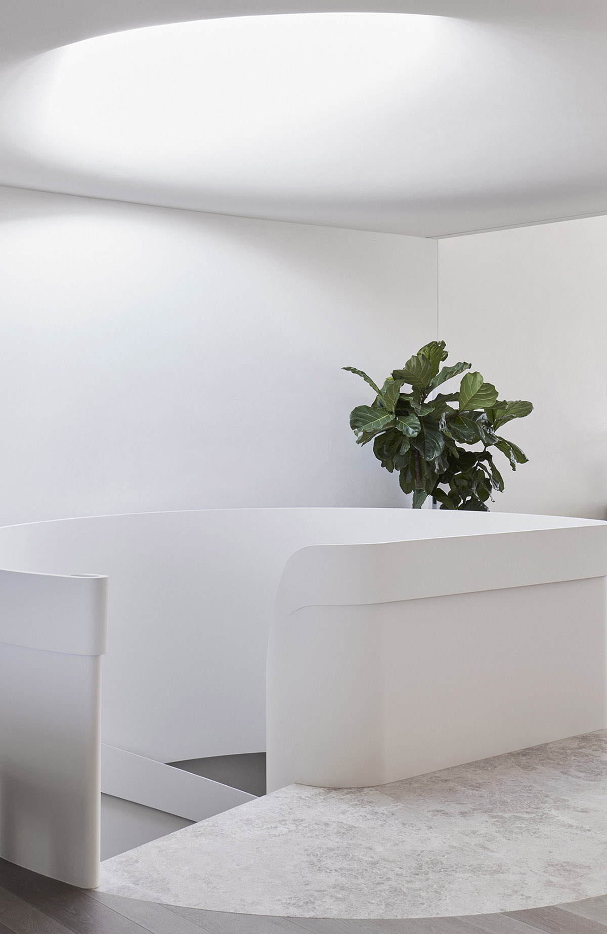 Jolson Architecture and Interiors creates fluid surfaces for interiors of this Melbourne home