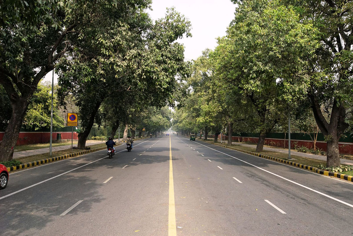 Tree Plantation Along City Roads: New Delhi Is The Best In India