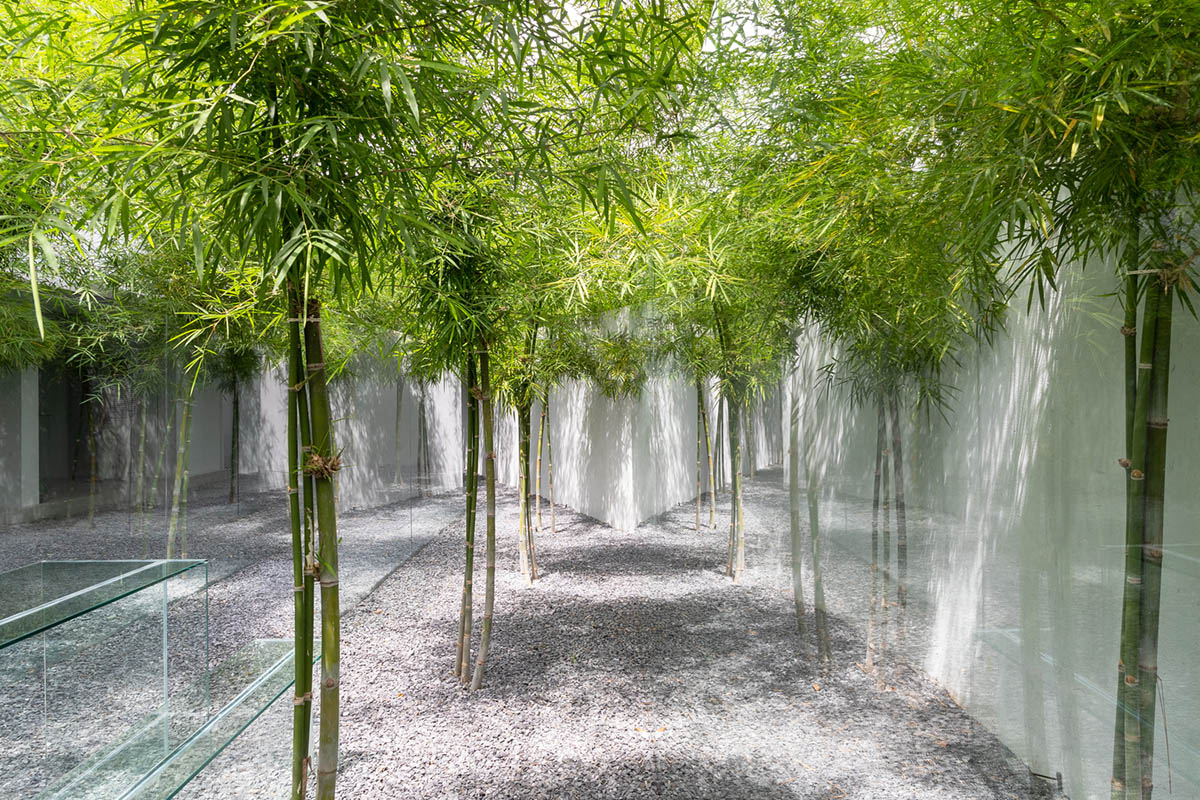 MIA Design Studio created vertical open library inside its office filled with greenery in Vietnam