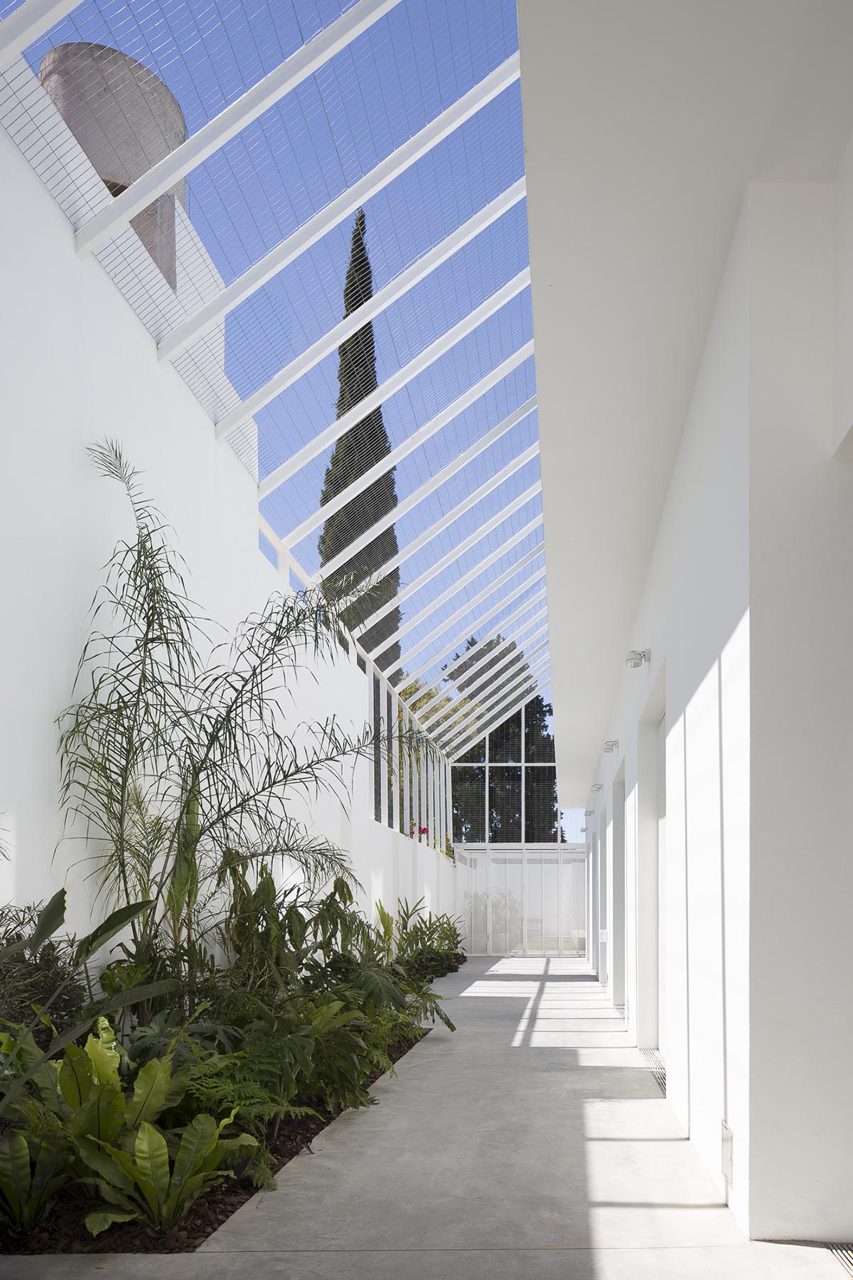 BHY arquitectos completes Martinez House in Argentina