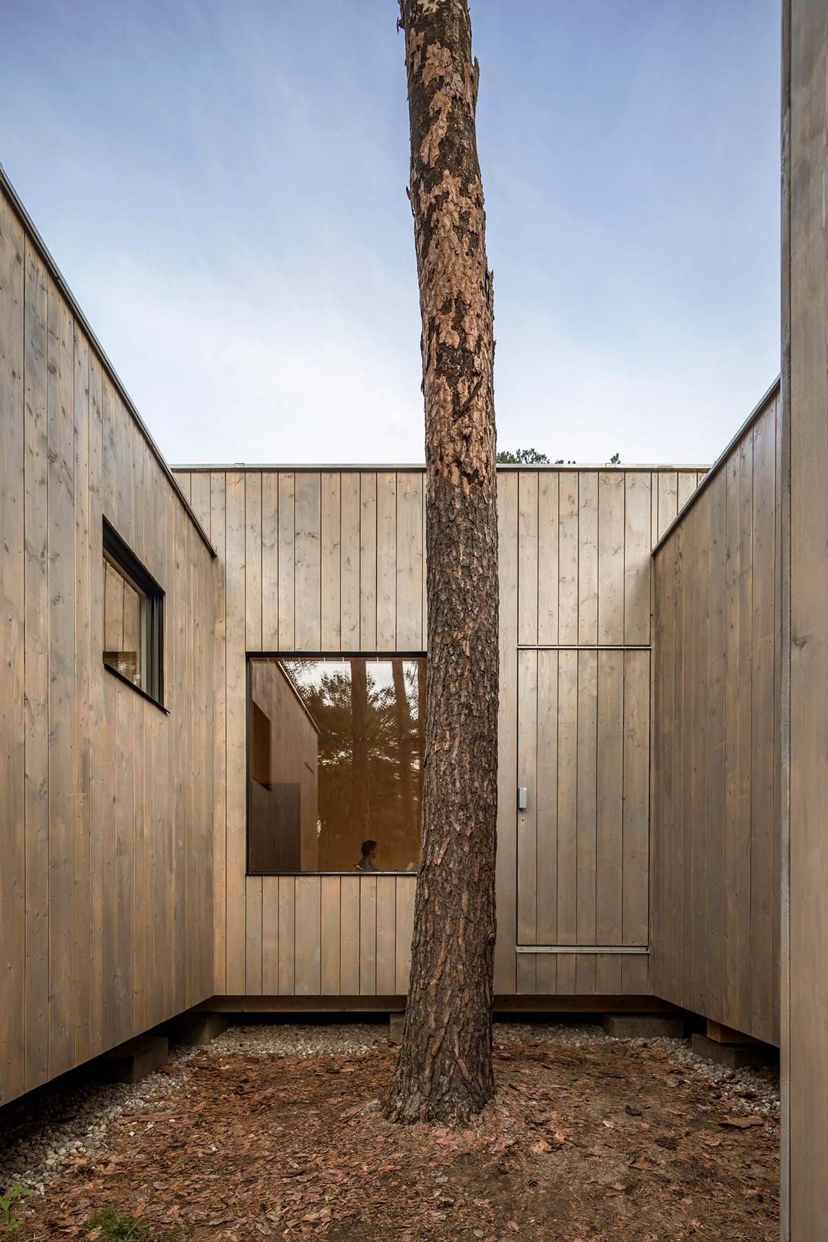 Zeller & Moye built private residence composed of interlocked timber cabins among pine trees