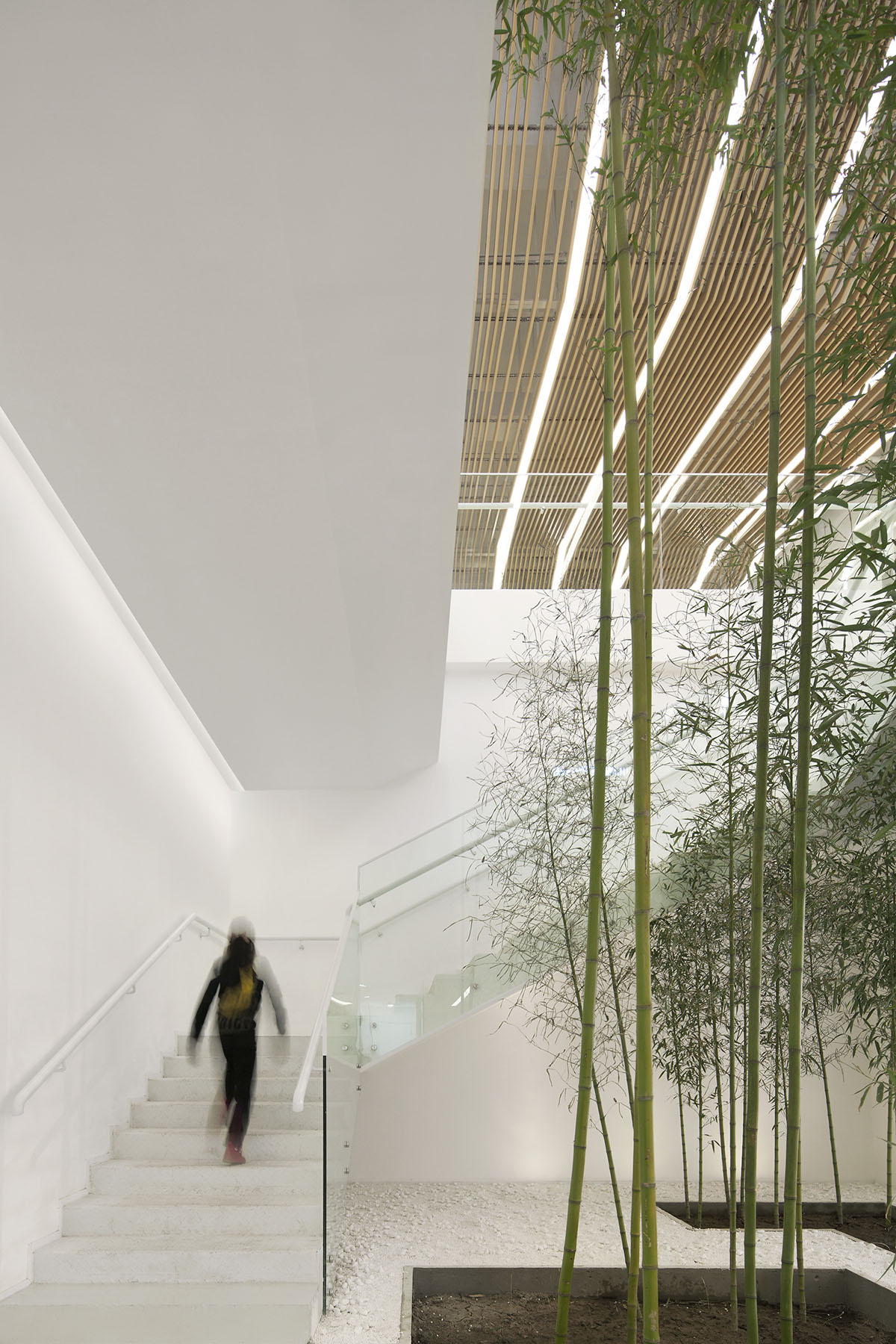 ARCHSTUDIO&rsquo;s new Children Education Institution features bamboo strips and white library wall
