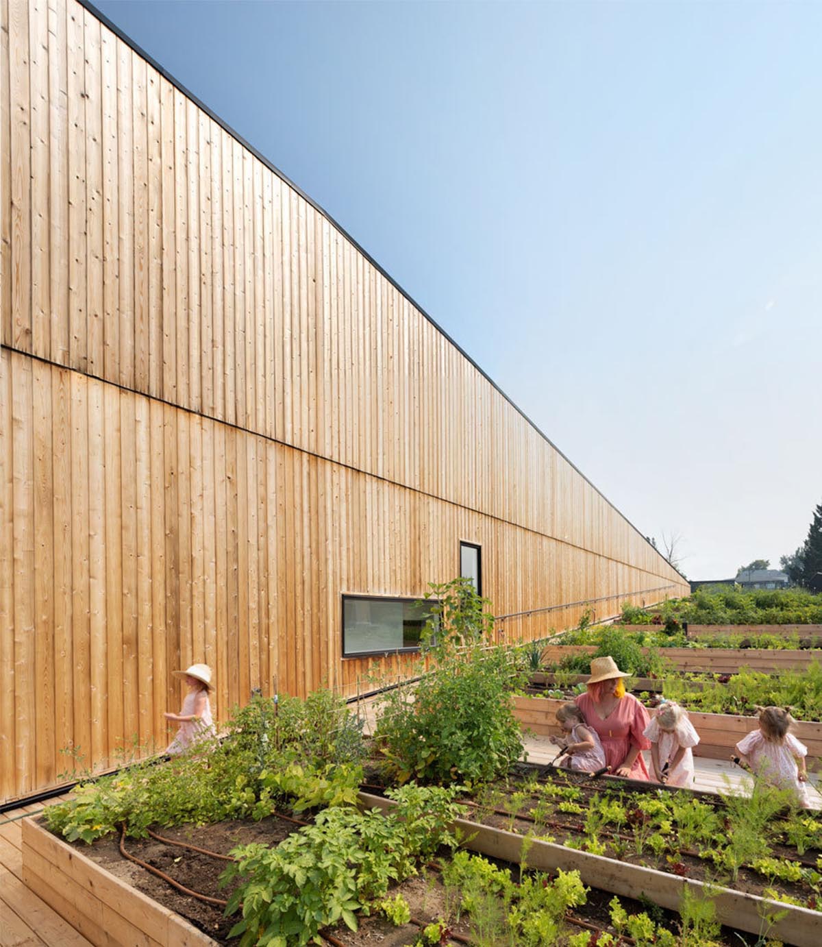 Multi-residential housing by MODA features a barrier-free rooftop urban farm in Calgary