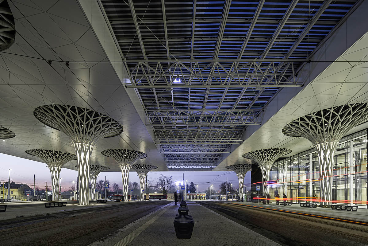 Organic tree-like columns are combined with linear canopy for Metropolitan Station in Lublin 