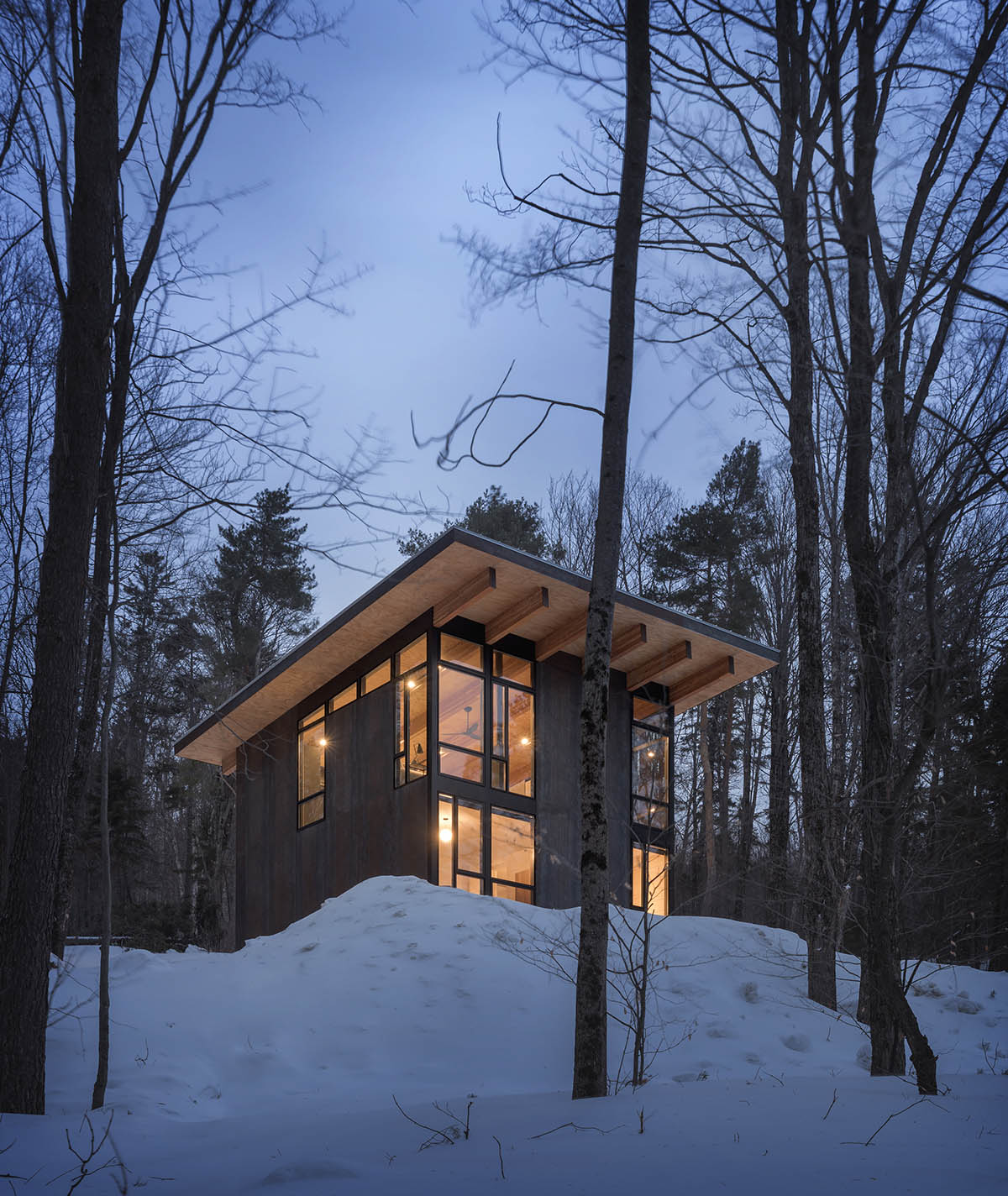 Olson Kundig creates compact and minimal family cabin in a heavily wooded landscape in Vermont