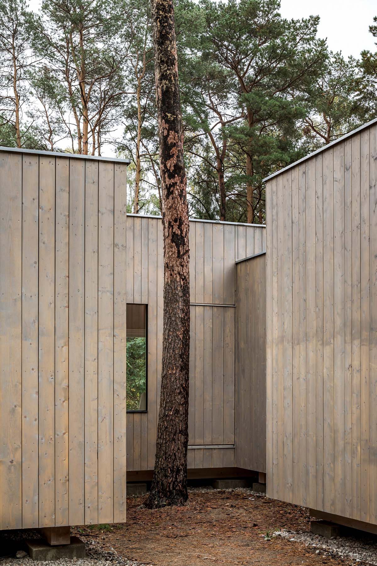 Zeller & Moye built private residence composed of interlocked timber cabins among pine trees