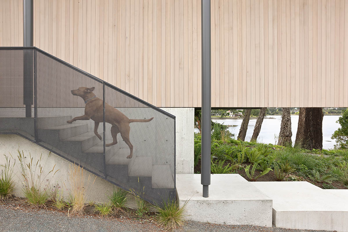 Splyce Design built a single-family home choreographed by a colonnade-lined entrance 