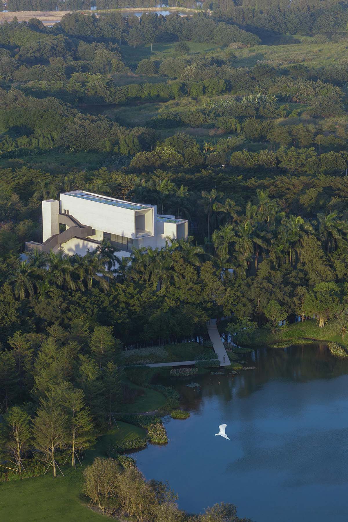 Yunlu Wetland Museum becomes a harmonious sanctuary for egrets and nature in China 