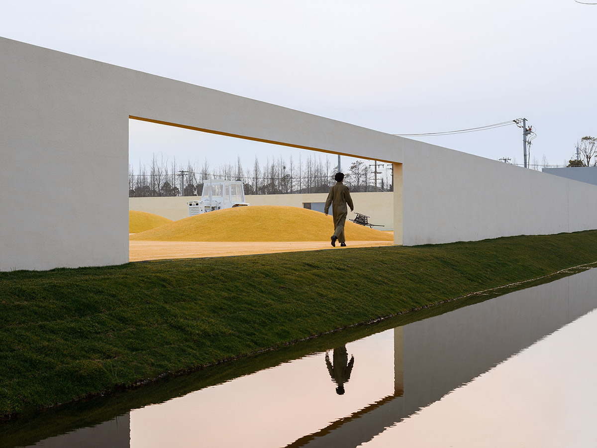Wutopia Lab converts abandoned barnyard into a golden yellow field resembling a frozen harvest time