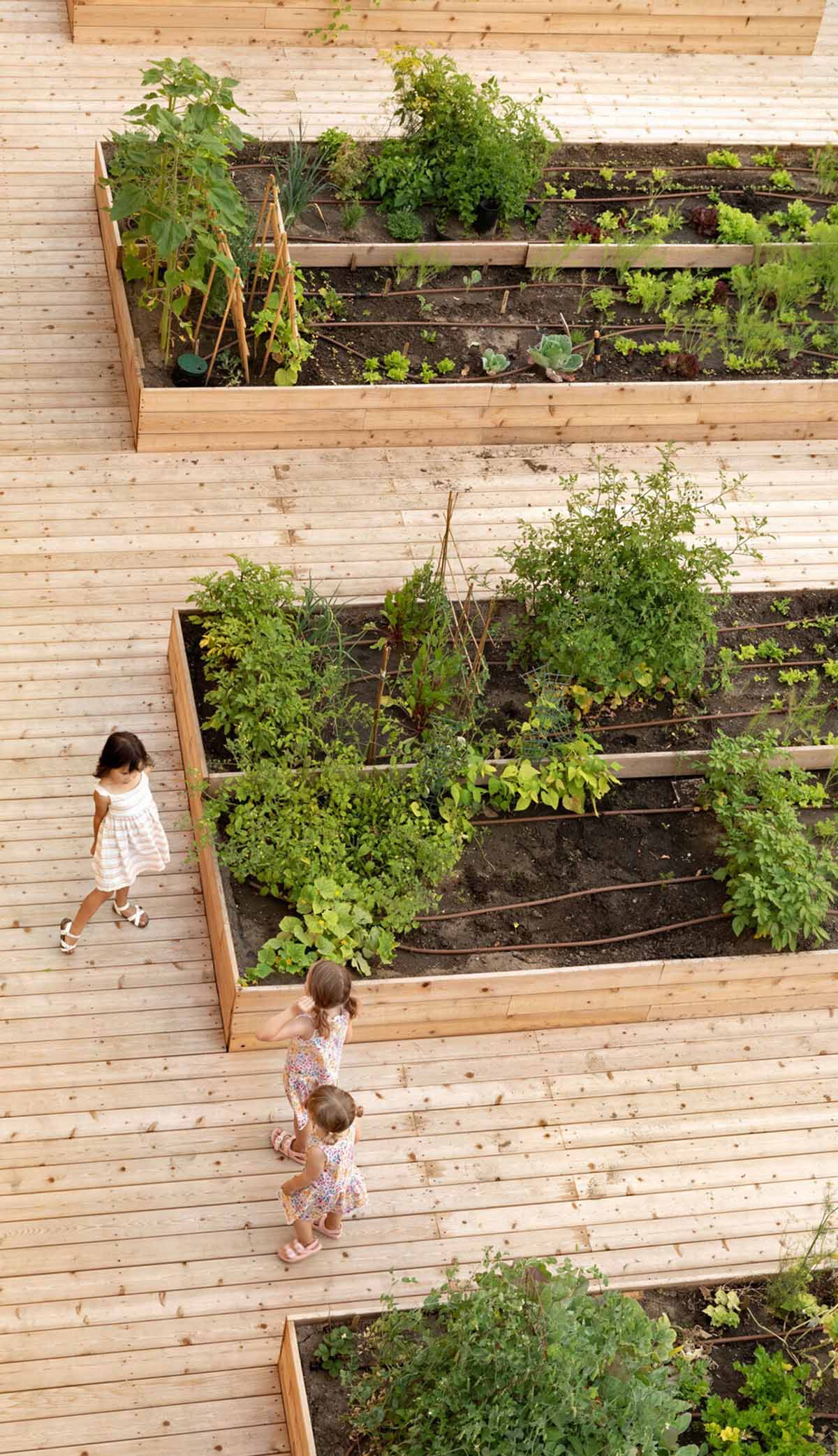Multi-residential housing by MODA features a barrier-free rooftop urban farm in Calgary