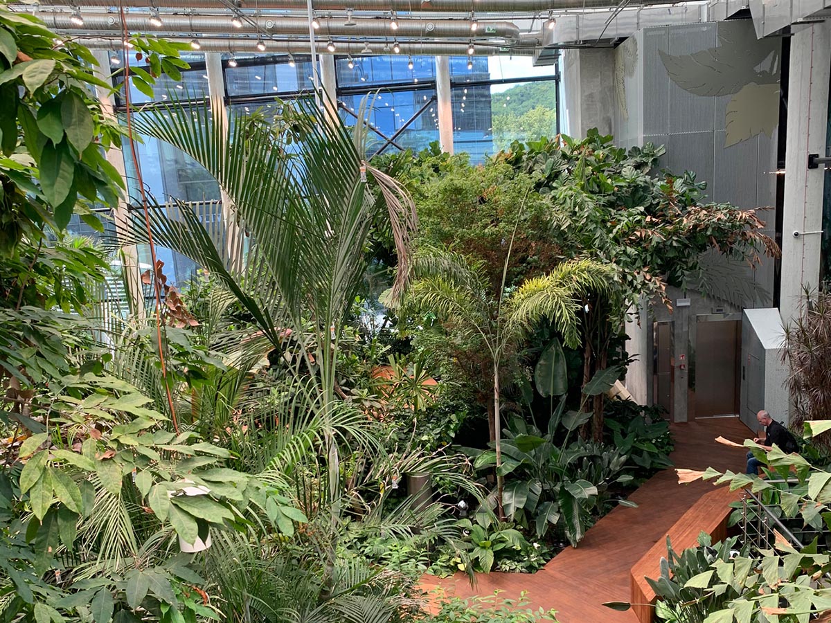 Worksplace nestled in an exotic garden is filled with various plants from many countries in Poland 